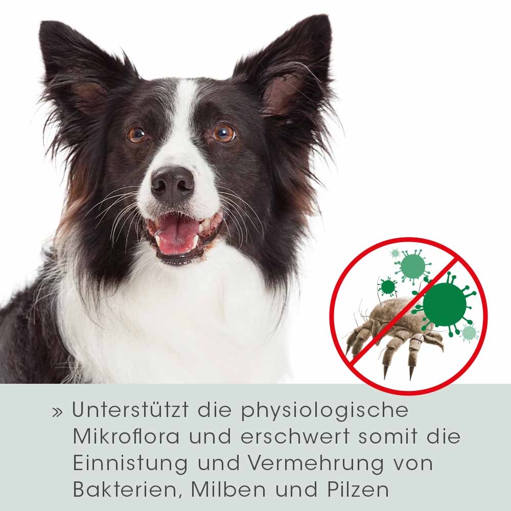 VeaVet Augen- & Ohrenpflege VeaVet Lebermoos Ohrenspühlung