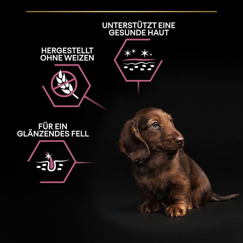 PURINA PRO PLAN Small & Mini Puppy Sensitive Skin