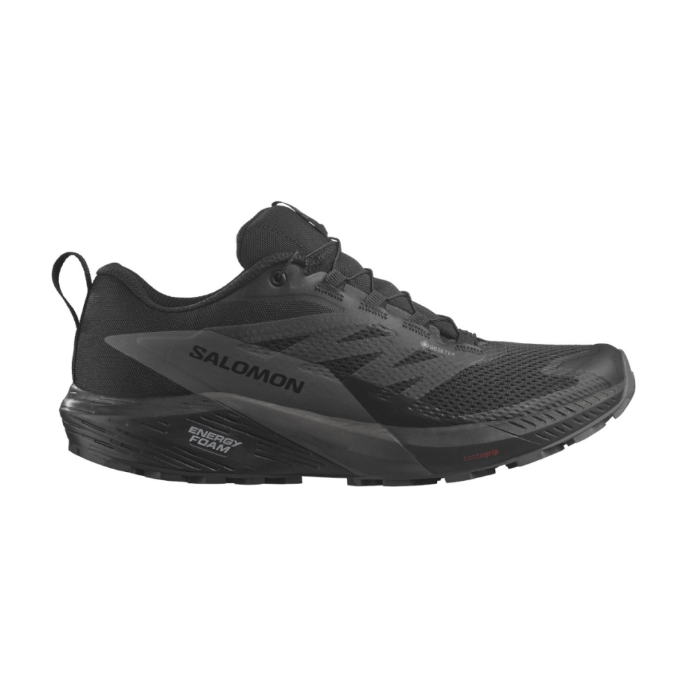 Salomon Sense Ride 5 GTX L47147200 / schwarz