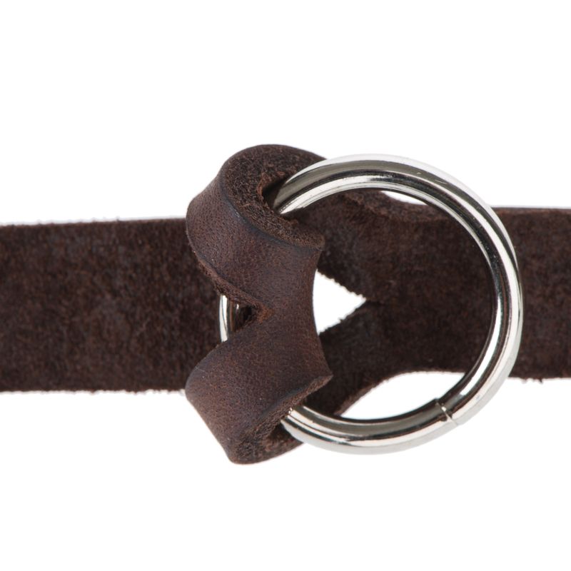 Heim Lederleine mit eingeflochtenem Karabiner - braun zu TOP-Preisen