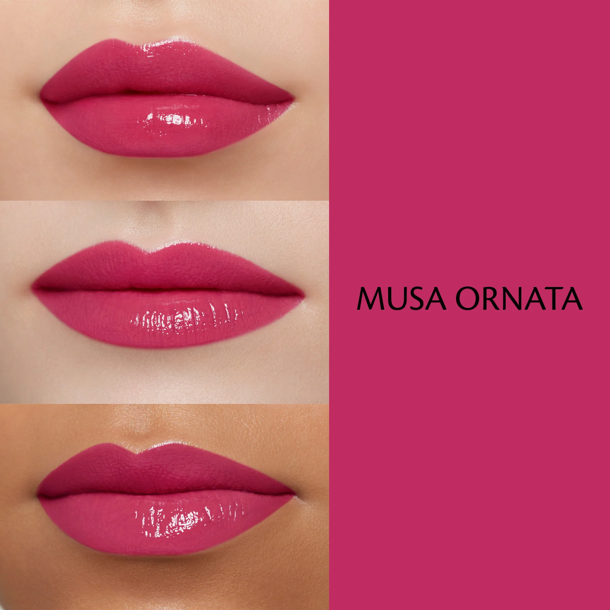 Labial Cream Rouge Shine Lips - Lápiz labial brillante, Lápiz labial