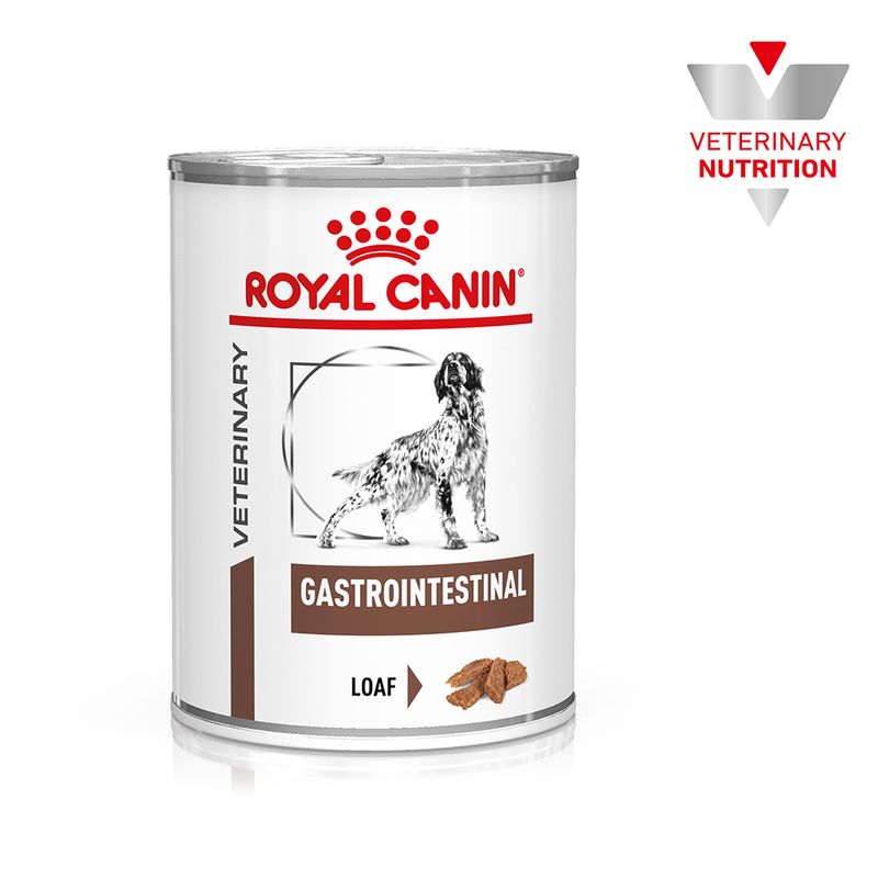 Royal Canin Veterinary Canine Gastrointestinal Mousse