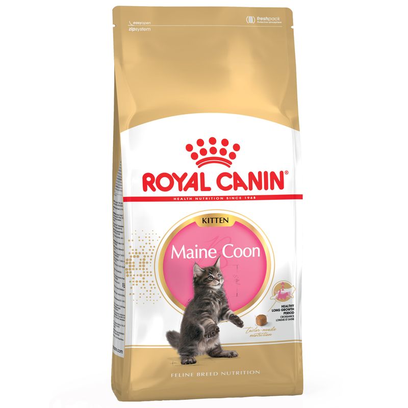 Royal Canin Maine Coon Kitten zu TOP-Preisen