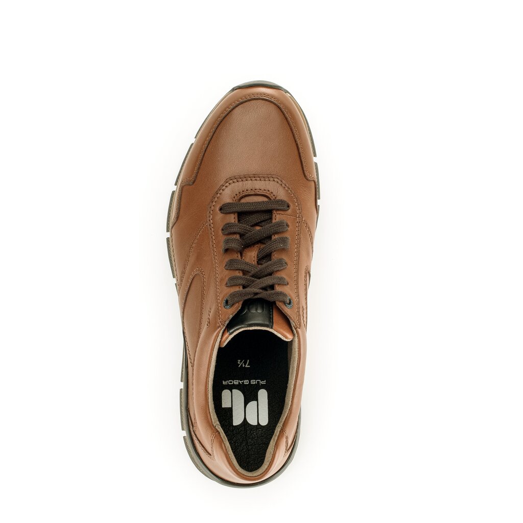 Pius Gabor PG1031 Sneaker low braun
