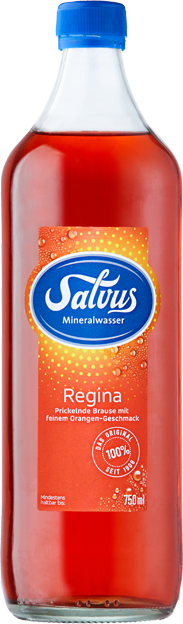 Salvus Regina