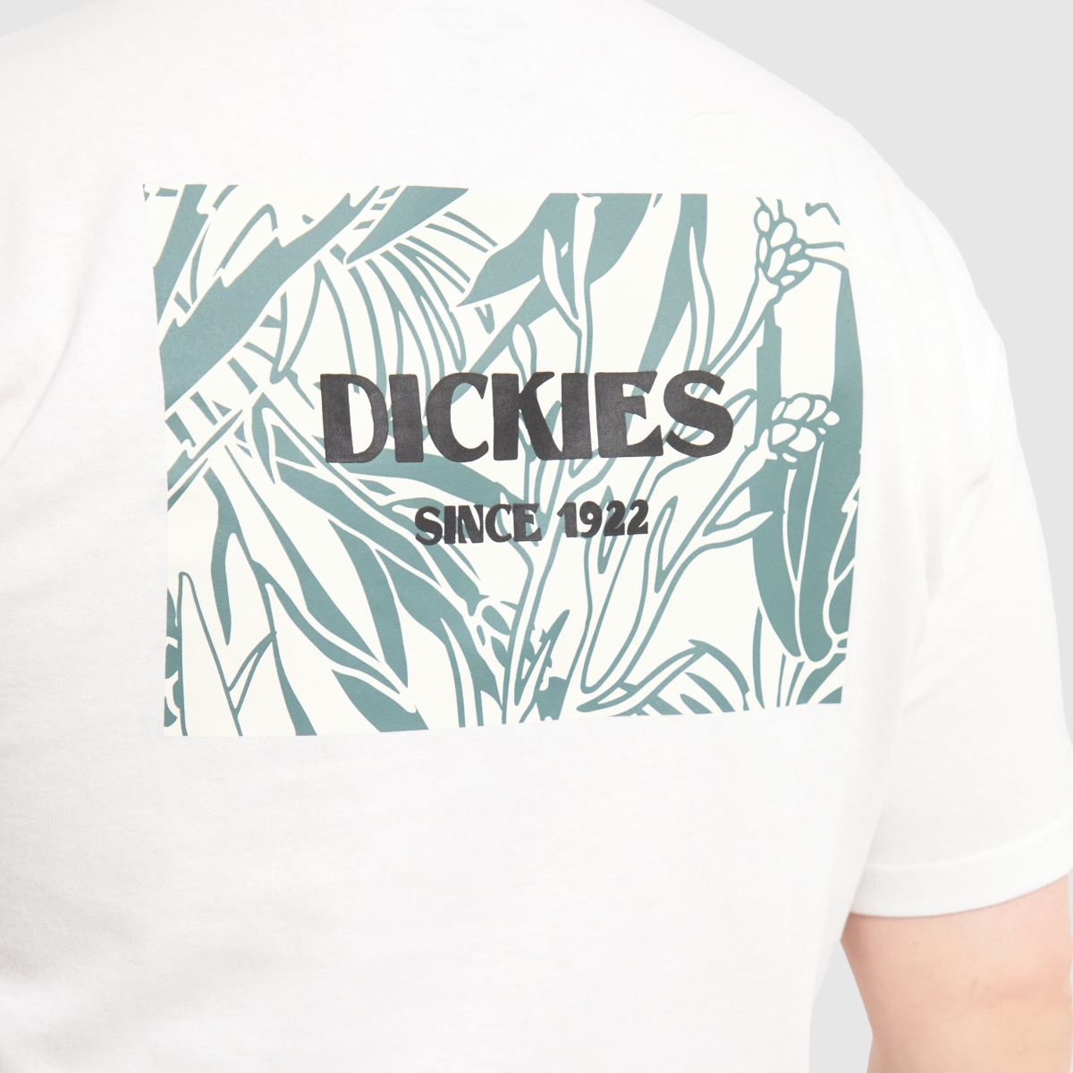DICKIES Max Meadow póló fehér színben