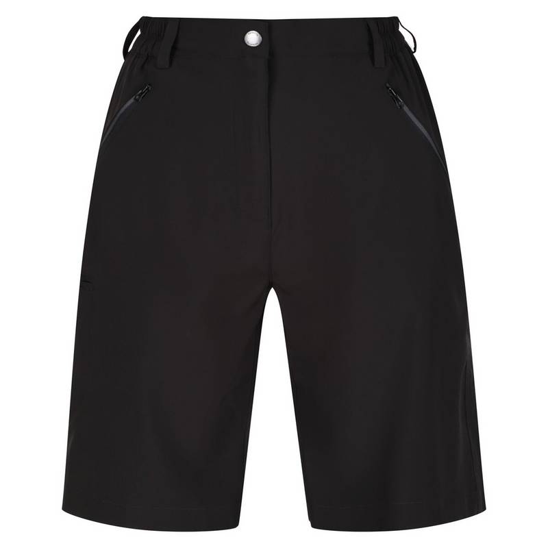Regatta Xert It Shorts Damen