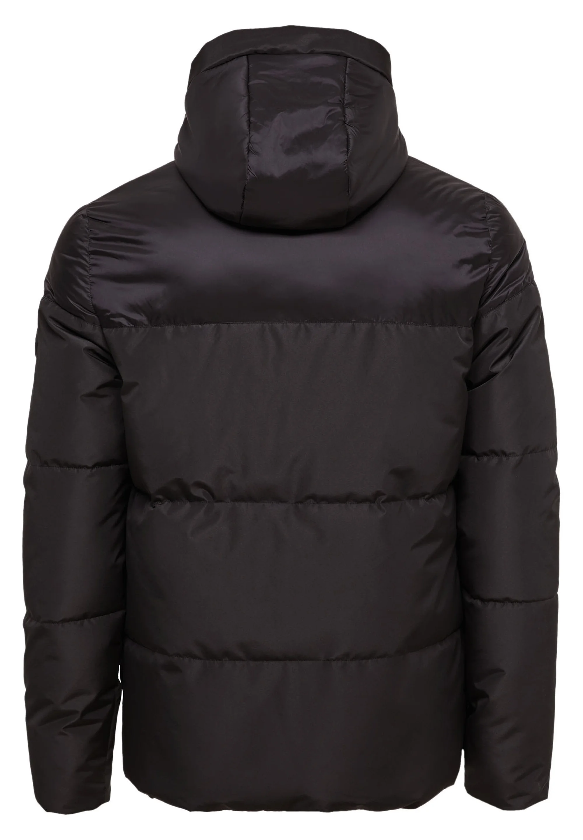 Chaqueta de invierno OSTREY del Polo Club