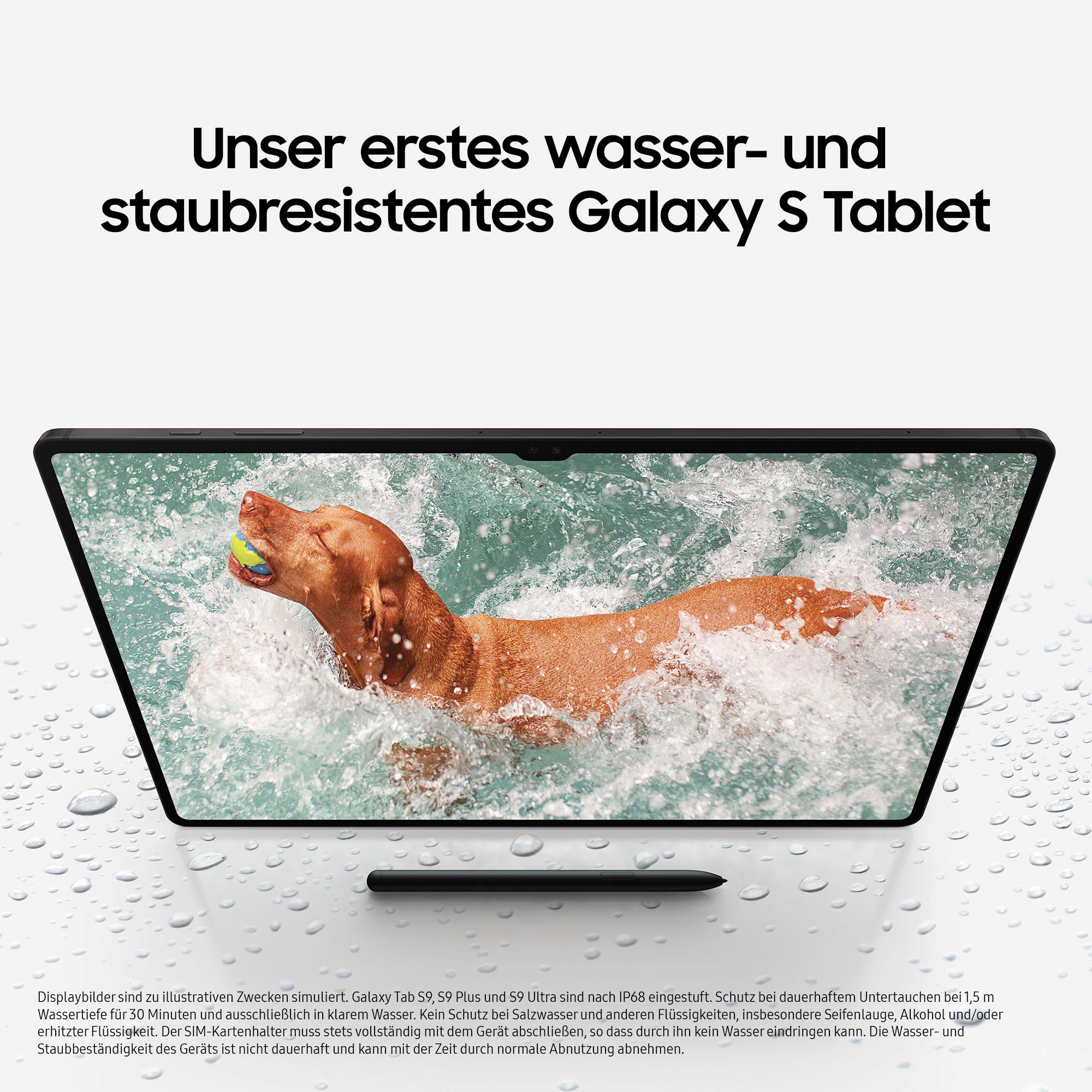 Samsung Galaxy Tab S9+ WiFi Tablet (12,4