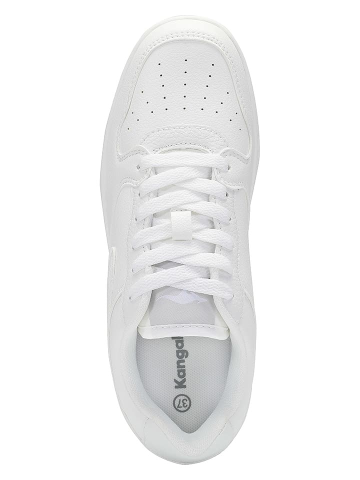 Kangaroos Sneakers 