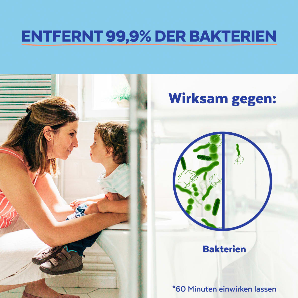 WC-Reiniger Ozeanfrische, 1 l