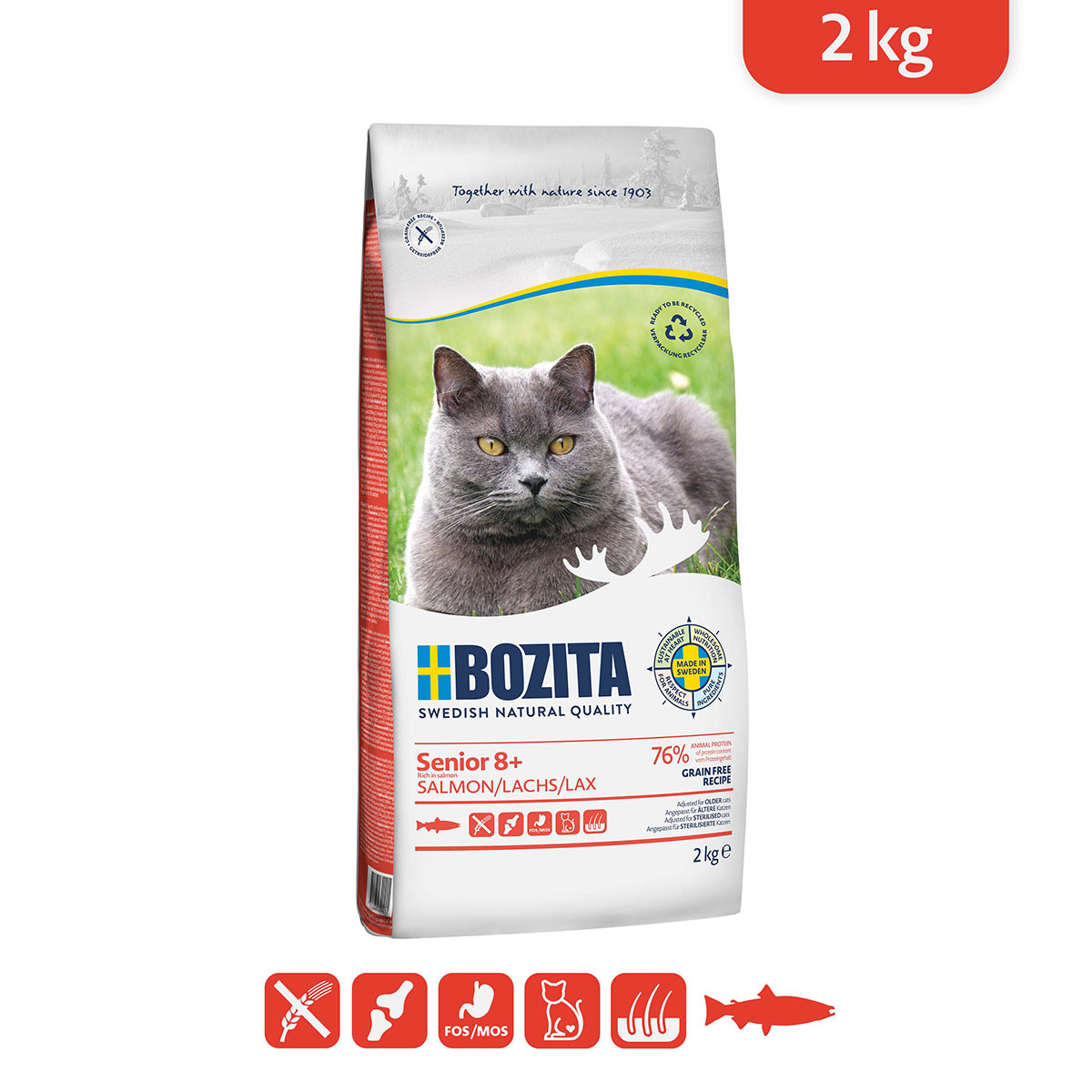 Bozita Senior 8+ Grain free mit Lachs günstig kaufen