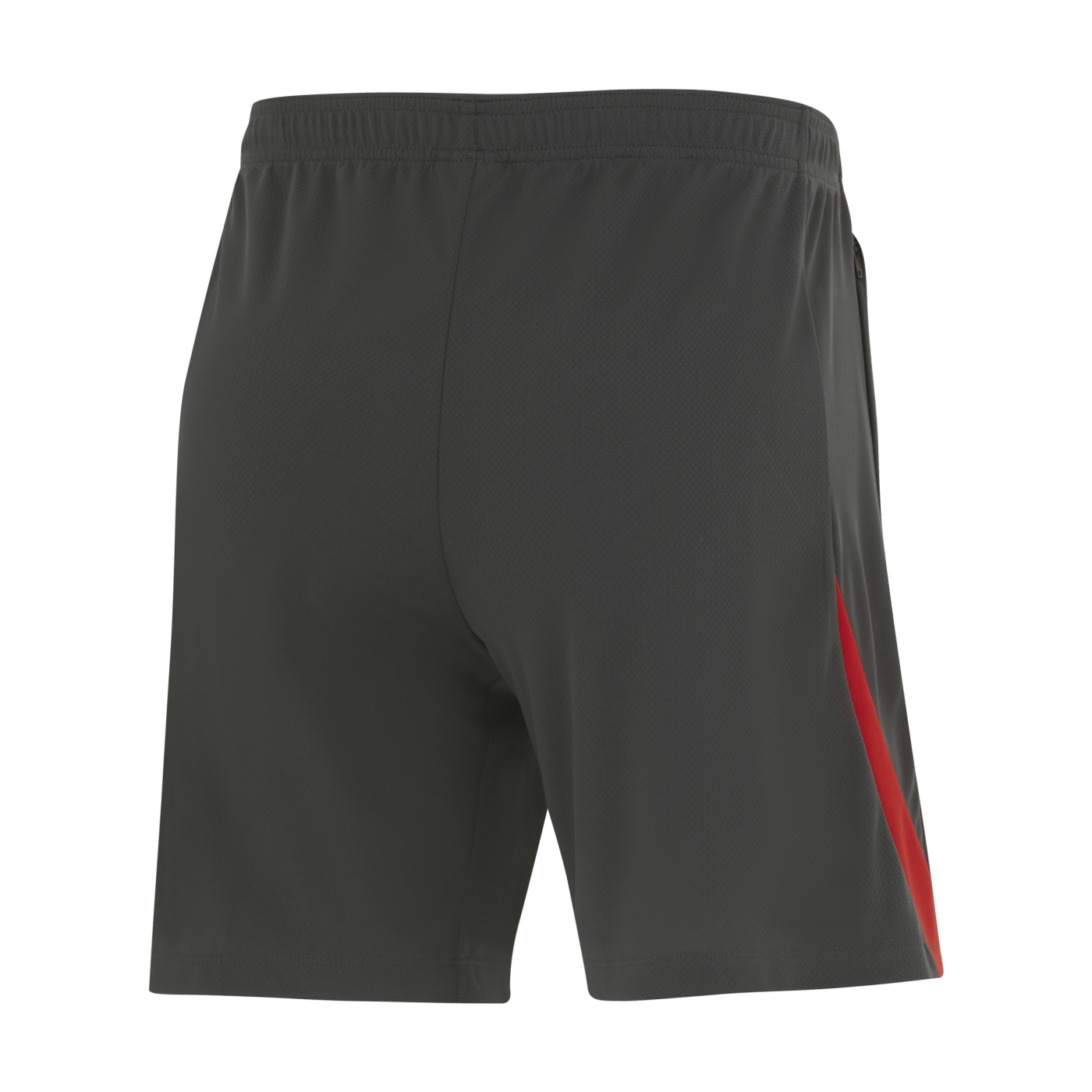 Nike Türkei Strike Short EM 2024 Grau Weiss F060