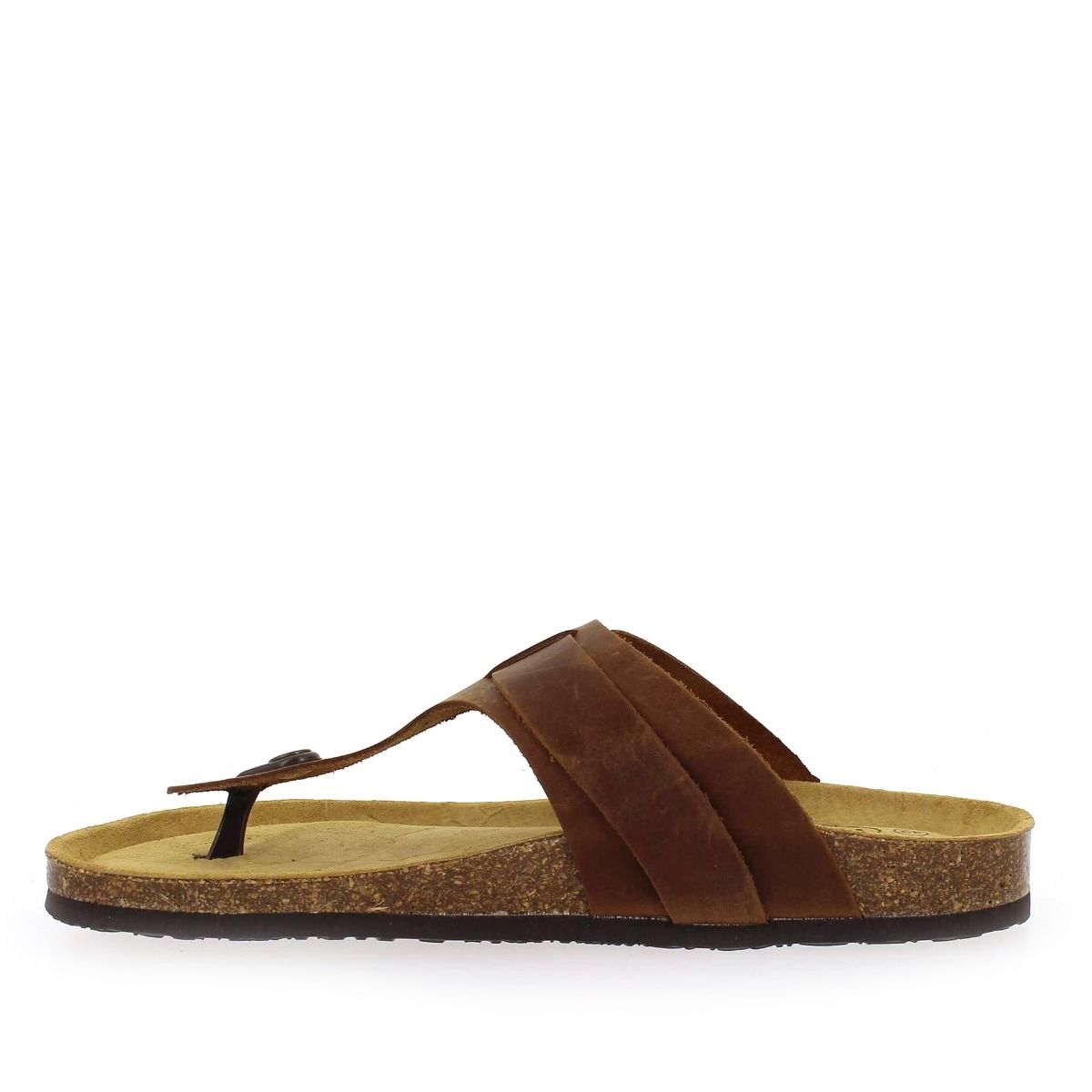 Plakton   BERDIE - Camel