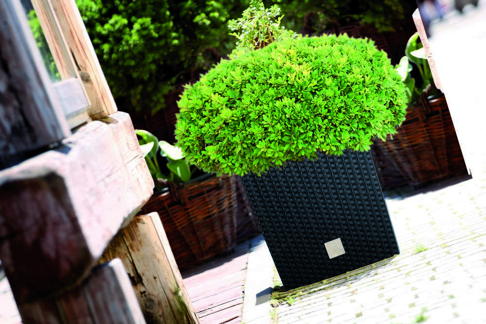 Powertec Garden Blumentopf in Rattanoptik eckig - Anthrazit 26 cm