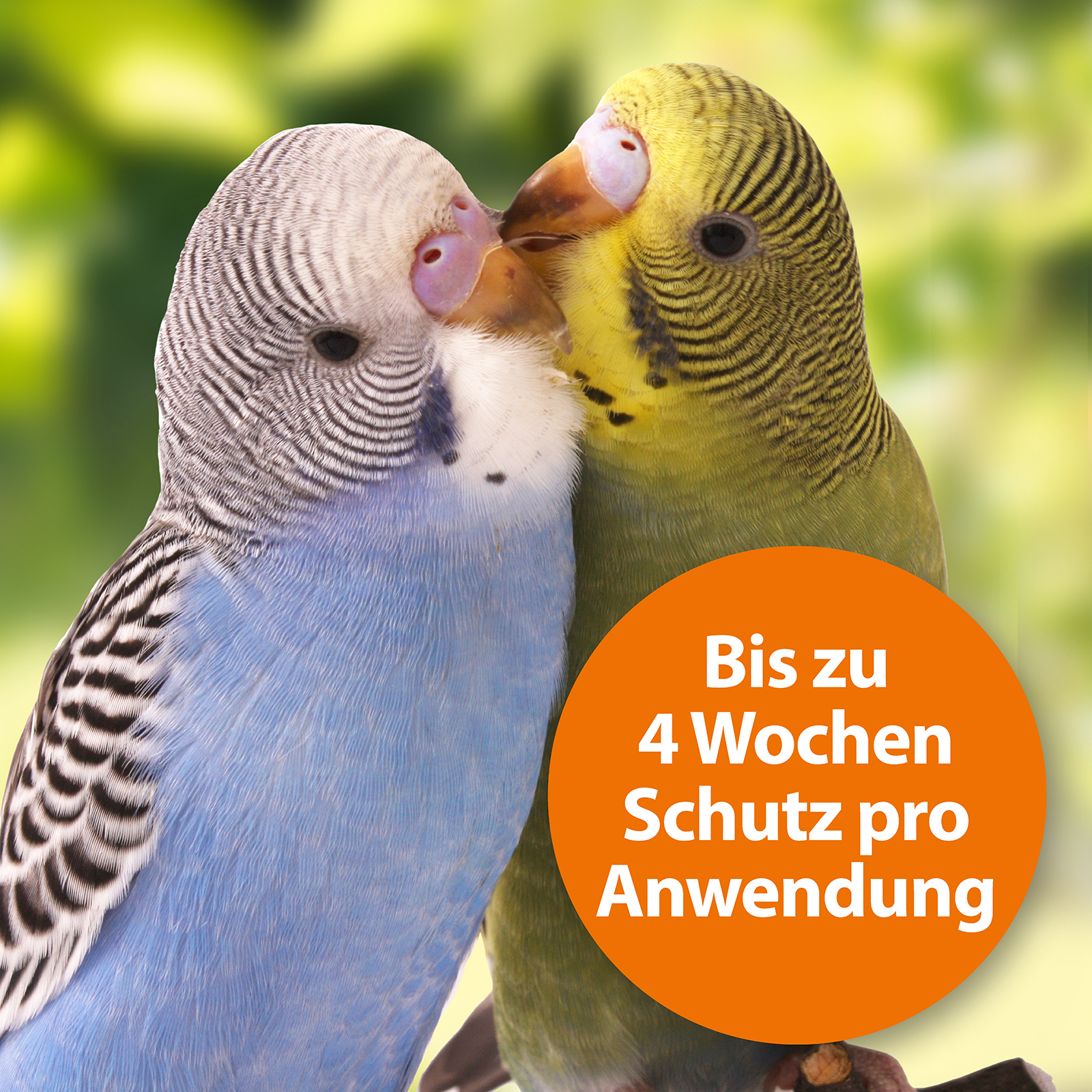 Ardap Pflege & Hygiene Ardap Spot-On für Ziervögel & Brieftauben