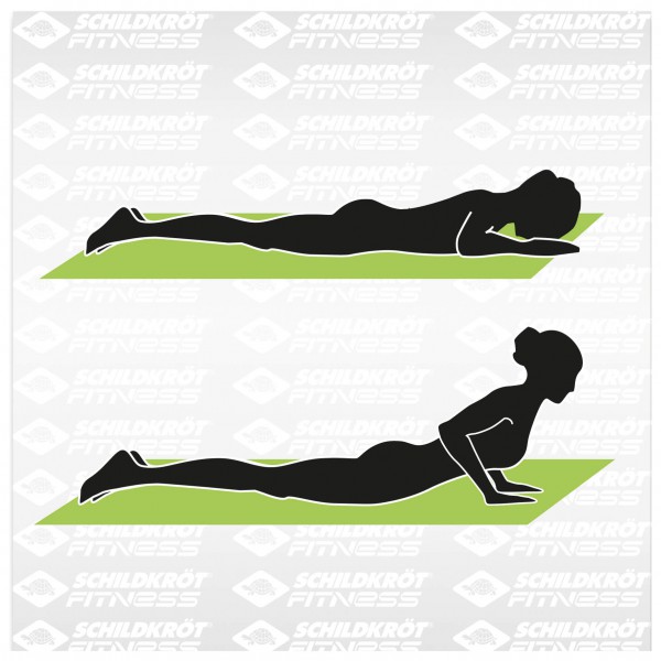Schildkröt Fitness - Yogamatte 4mm Bicolor