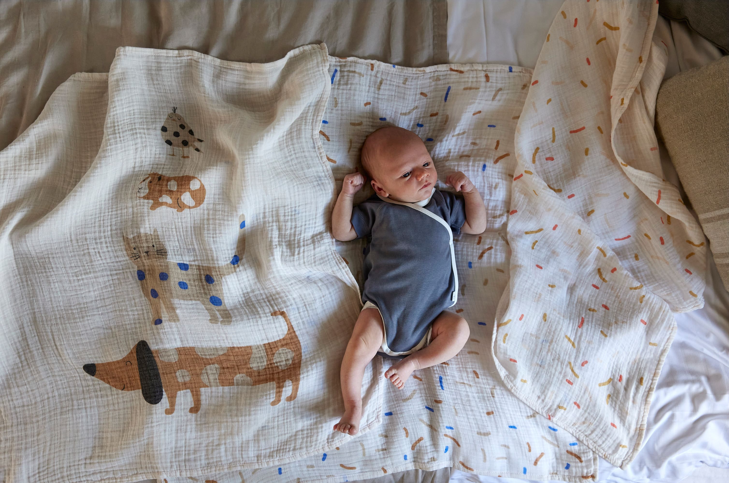 Mulltücher 3er Set 80 x 80 cm - Little Mateys, Royal Blau