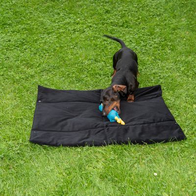 Nomad Tales Reise-Hundematte Ebony