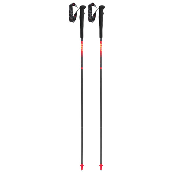 MICRO RCM SUPERLIGHT - Trekkingstöcke