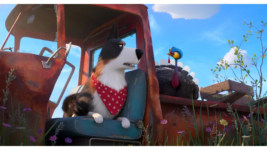 Pets 2