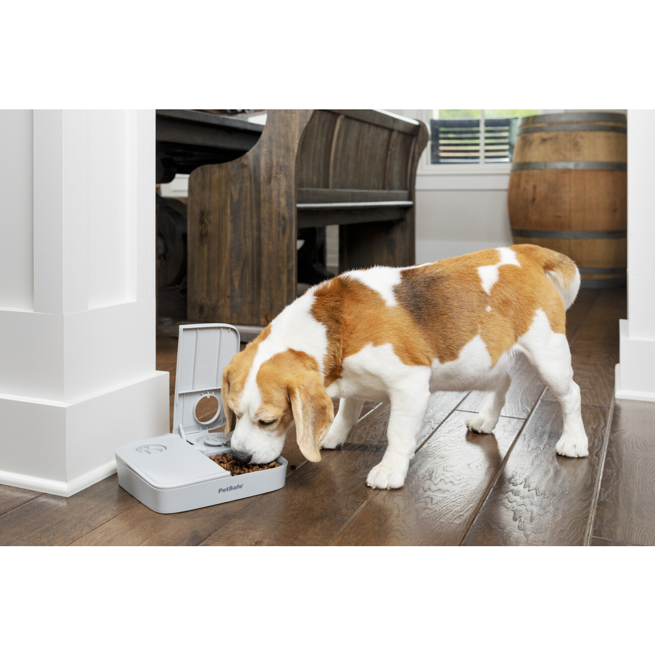 PetSafe Futterautomaten PetSafe Futterautomat für 2 Mahlzeiten