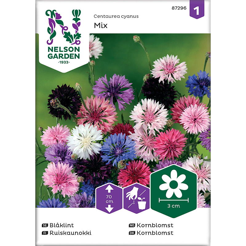 Nelson garden Frø Kornblomst Høy, mix