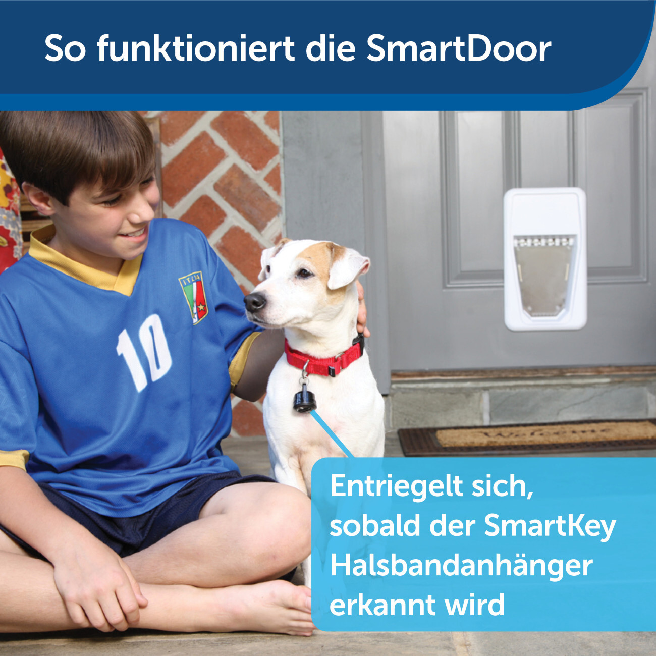PetSafe Türschutzgitter & Hundeklappen PetSafe SmartDoor Elektronische Hundeklappe, Größe L, Weiß