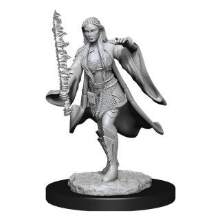 D&D Nolzur's Marvelous Miniatures - Multiclass Warlock & Sorcerer Female
