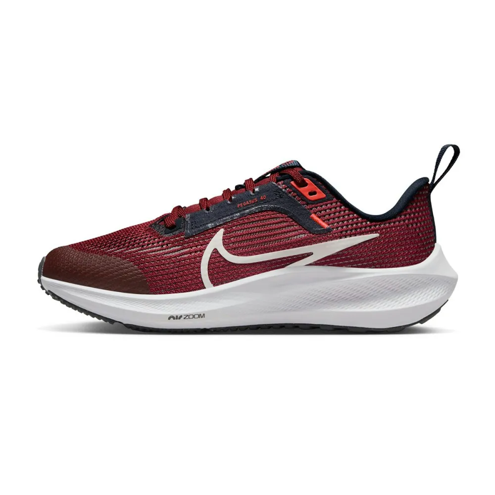 Nike Air Zoom Pegasus 40 DX2498-009 / grau
