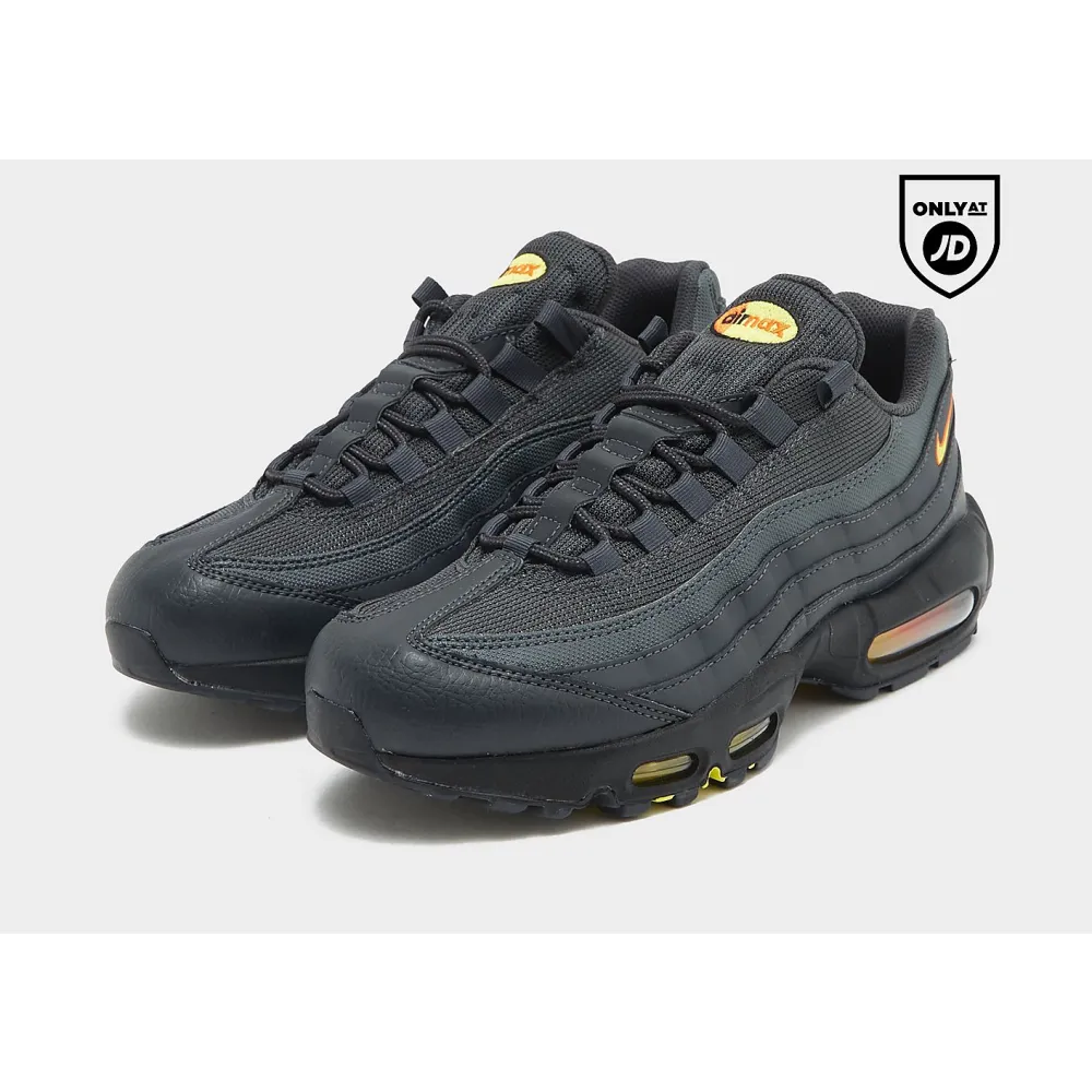 Nike Air Max 95 FZ4626-001 / grau