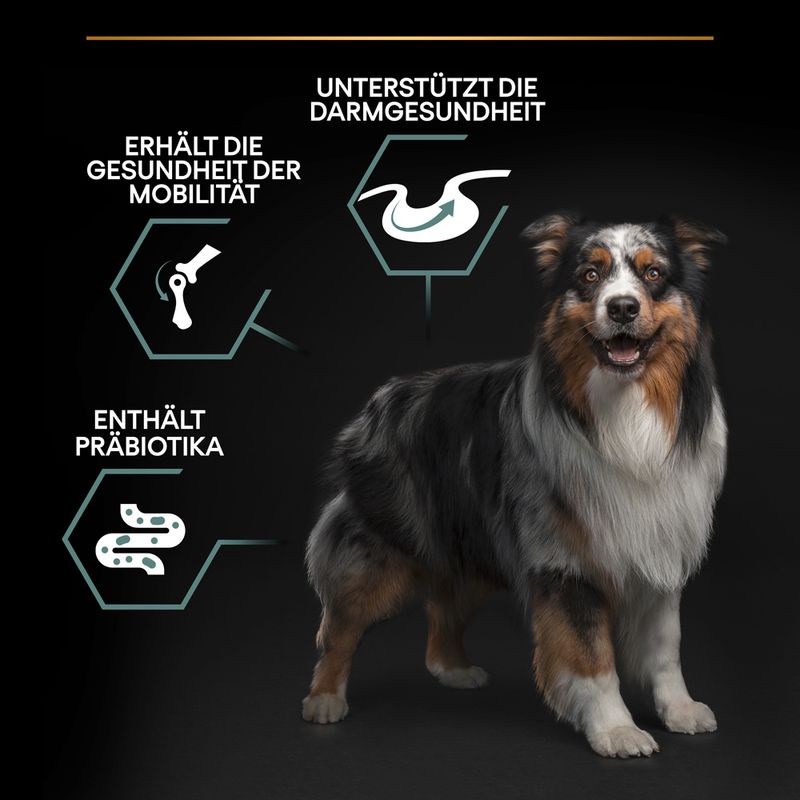 PURINA PRO PLAN Medium Adult Lamm & Reis Sensitive Digestion