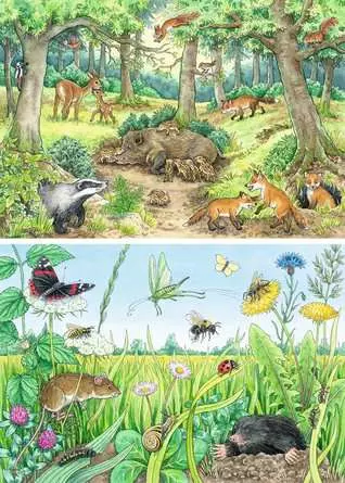 Kinderpuzzle ab 3 Jahren - Wieso? Weshalb? Warum? Tiere im Wald und auf der Wiese - 12 Teile