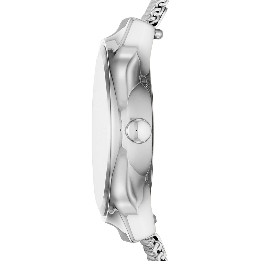 Skagen Montre pour femme Acier inoxydable Montre