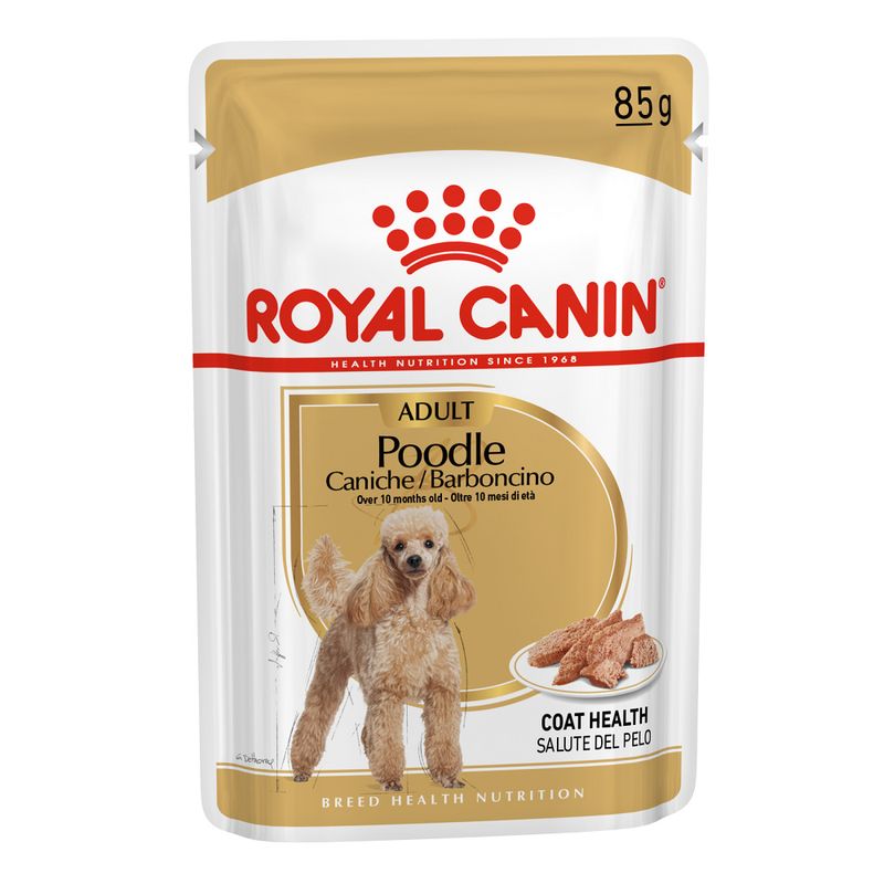 Royal Canin Poodle Adult zu TOP-Preisen