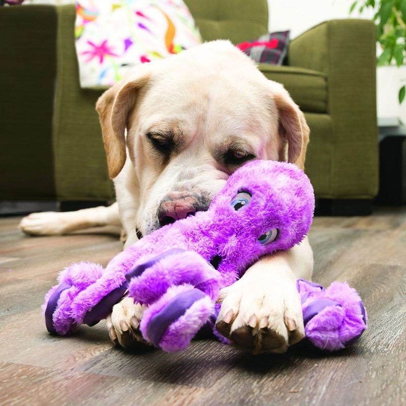 KONG SoftSeas Octopus zu TOP-Preisen