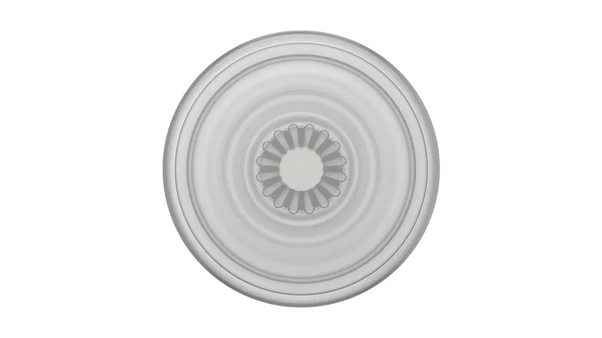 PopSockets PopGrip Plant Faded Stone