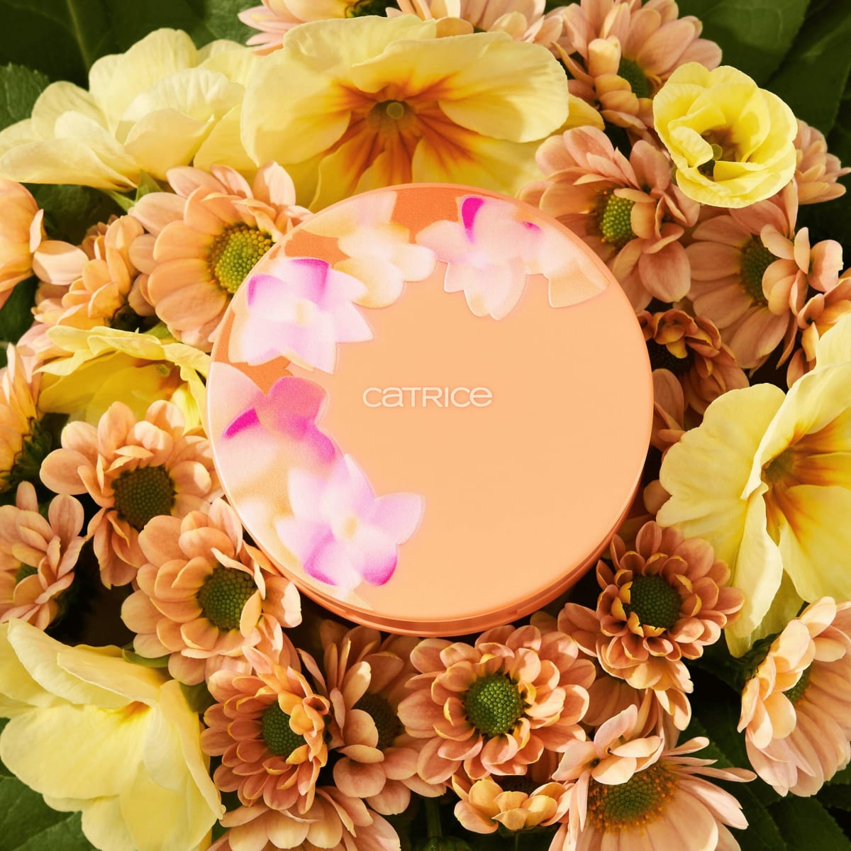 Highlighter Cream-To-Powder Seeking Flowers C02 Apriglow, 5,5 g