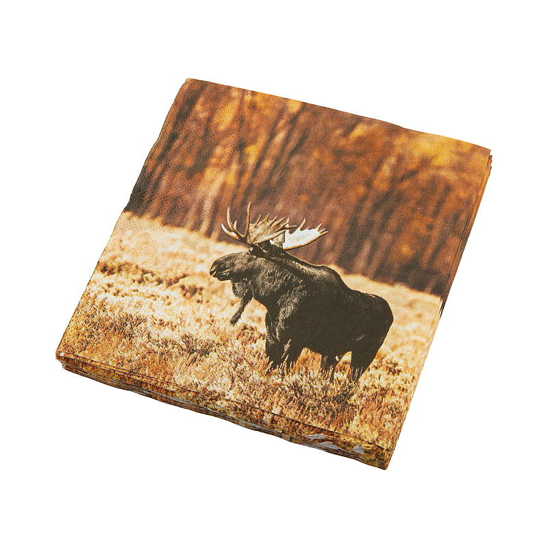 Vie Eco Servietter 20-pk 33x33 cm, Høst