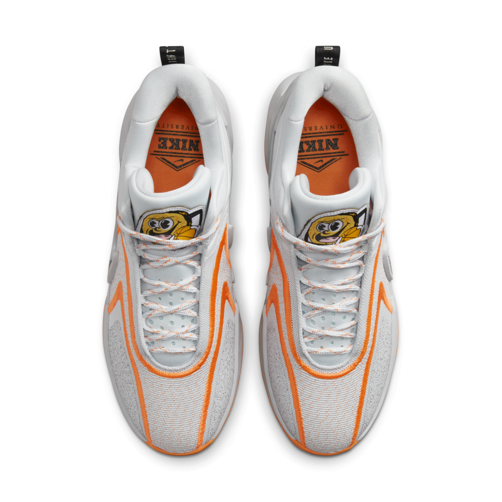 Nike Cosmic Unity 2 DH1537-004 / grau