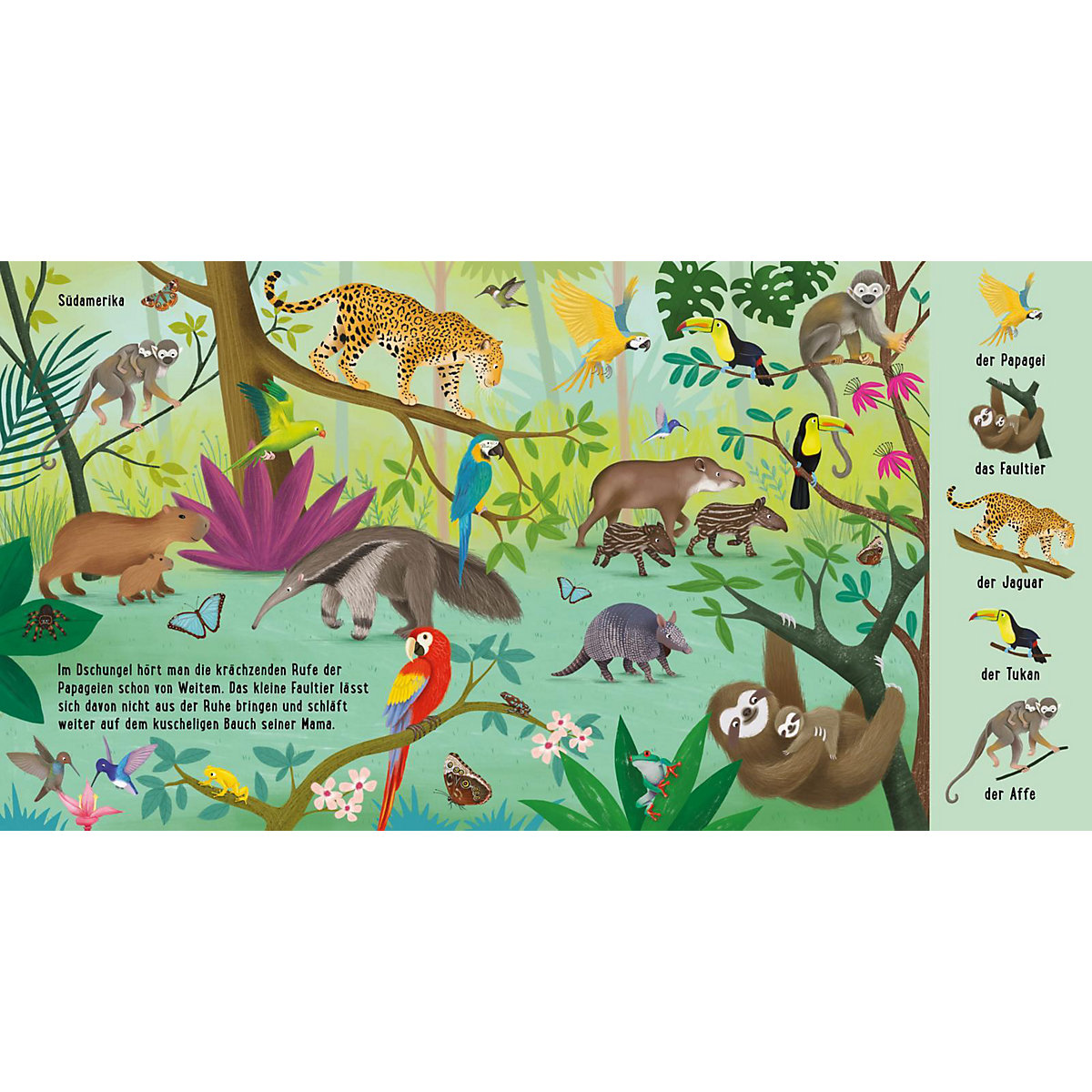 Mein erstes Natur-Wimmelbuch: Tiere aus aller Welt