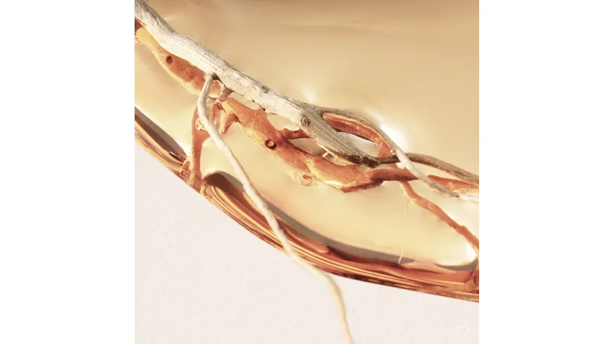 BOSS Alive Intense Eau de Parfum