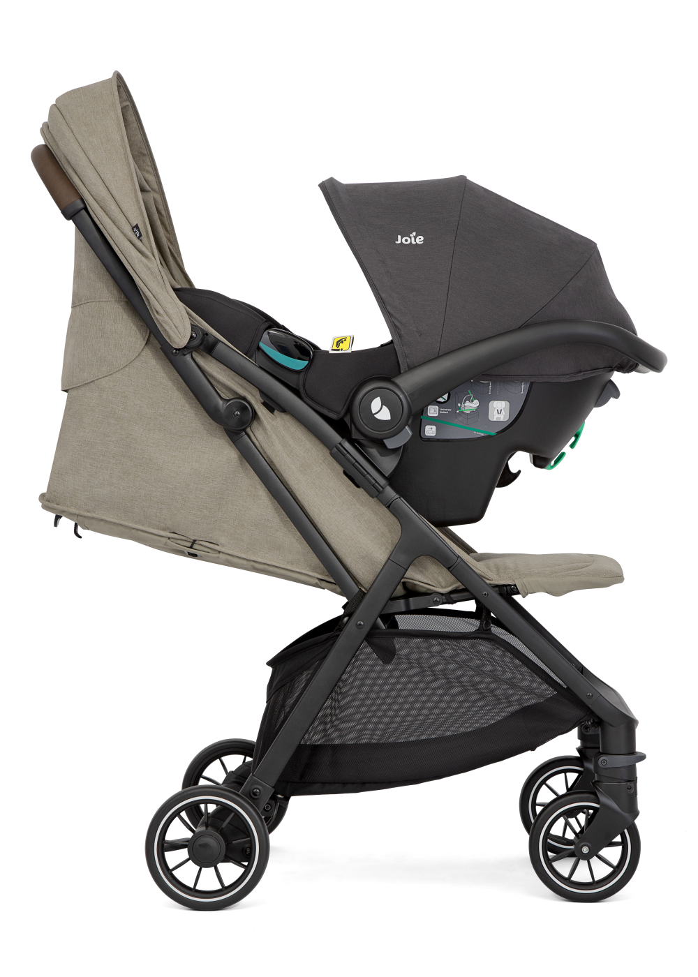 Buggy Pact Pro
