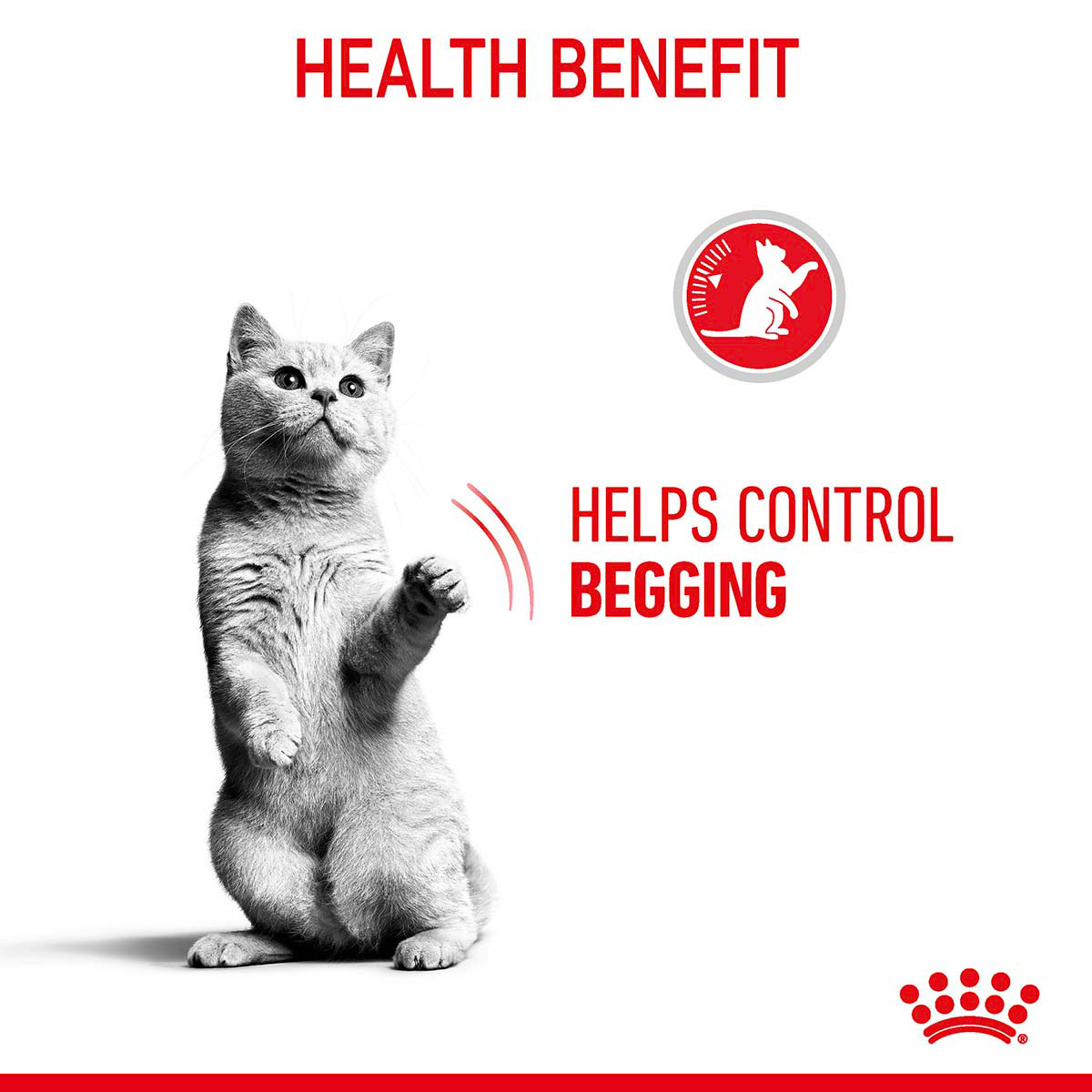 Royal Canin FCN Appetite Control Gravy kaufen bei ZooRoyal
