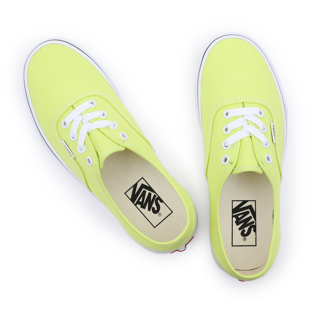 Vans Color Theory Authentic VN0A5KS9ZUD1 / grün