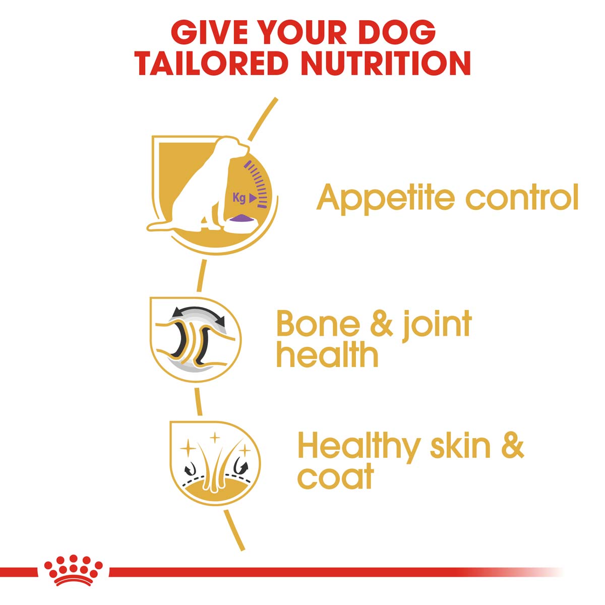 ROYAL CANIN Labrador Retriever Sterilised 12kg + LIGHT WEIGHT CARE Mousse 12x85g