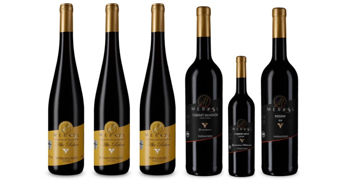 Gundersheim- Ein Rotweindorf von Burgunderhof Merkel günstig bei wein.de kaufen