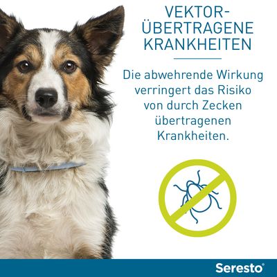 Seresto® Halsband Hund