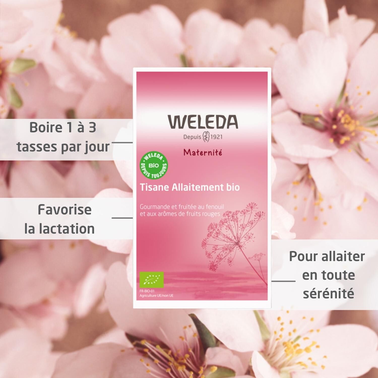 Weleda Maternité Tisane Allaitement Bio Fruits Rouges - Favorise la lactation