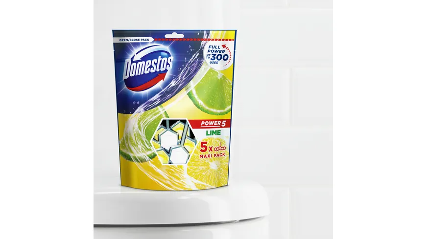 Domestos Power 5 WC-Stein Limette 275 g